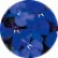 Лобелія Рівьєра F1 Марін Блю (Riviera F1 Marine Blue)