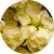 Матіола Колумн Міракл Голд (Column Miracle Gold)
