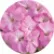 Пеларгония Мультиблум F1 Лавандер (Multibloom F1 Lavender)