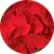 Пеларгония Мультиблум F1 Ред (Multibloom F1 Red)