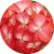 Пеларгония Мультиблум F1 Скарлет Ай (Multibloom F1 Scarlet Eye)