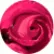 Примула Прімлет Роуз (Red Rose)