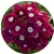 Вербена Тускани F1 Бургунди виз Ай (Tuscany F1 Burgundy with Eye)