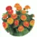 Цинія Цинніта Оранж (Zinnita Orange)