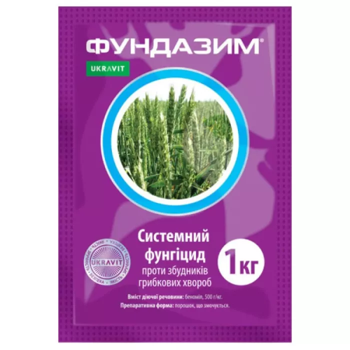 Фундазім