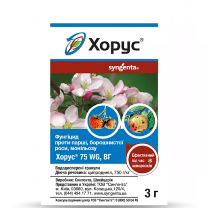 Фото Хорус