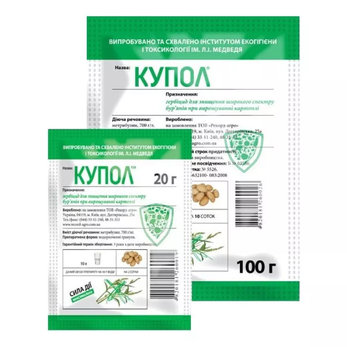 Фото Купол, №1