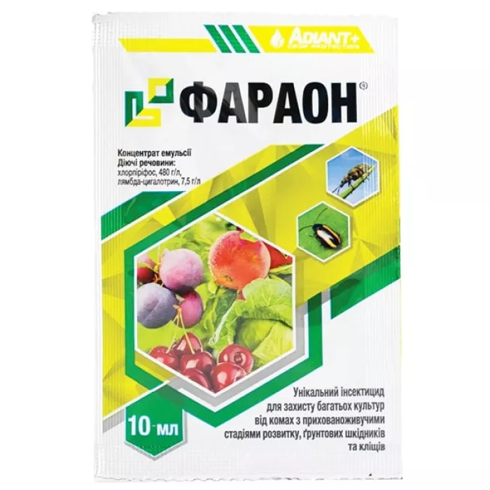 Фараон