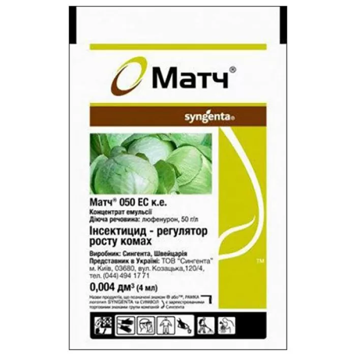 Матч