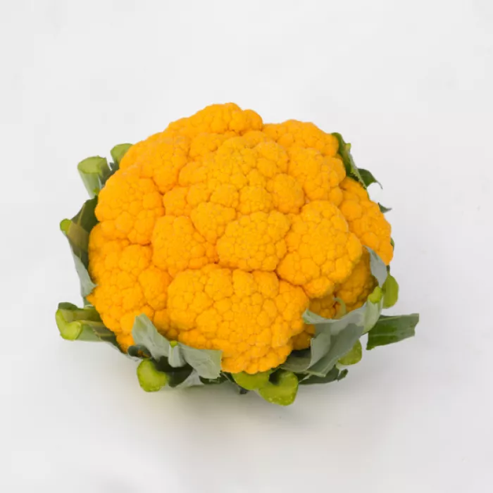 Клементин F1