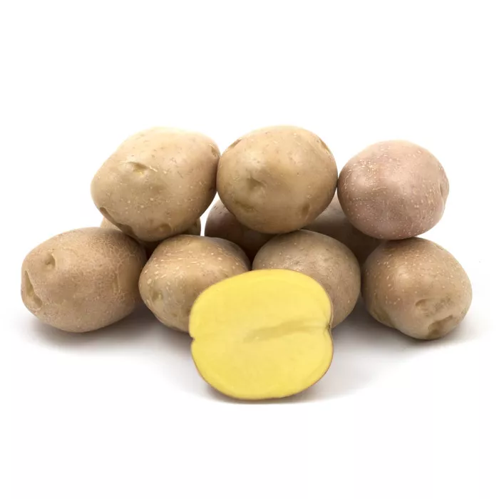Беллароза (Бела Роса) (1 репродукція)