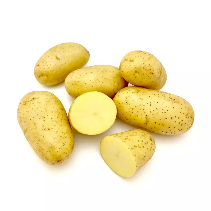 Джолін (1 репродукція)