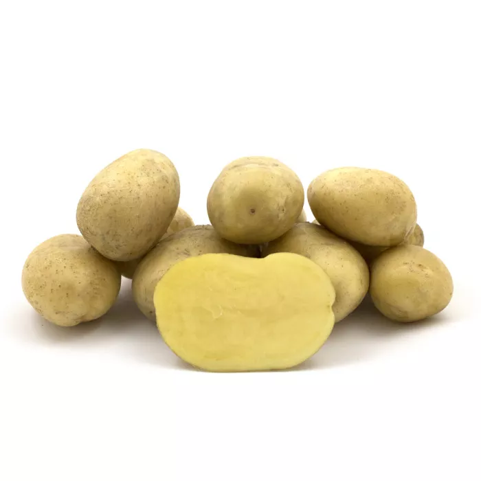 Раномі (1 репродукція)