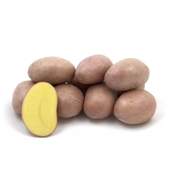 Санібель (Еліта)