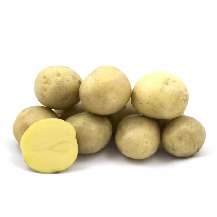 Спектра (1 репродукція)