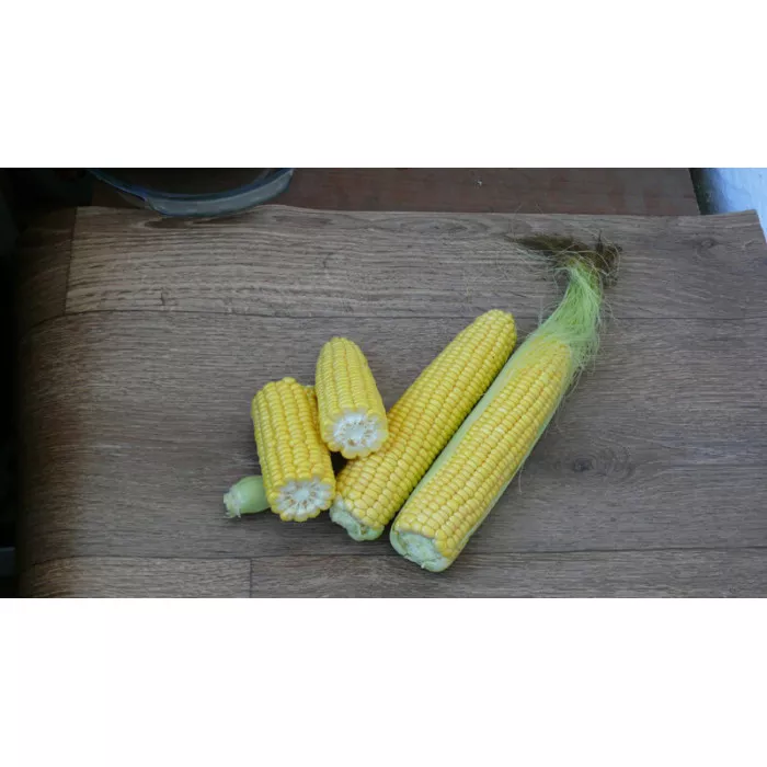 1708 F1