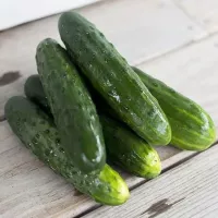 Ловелі F1