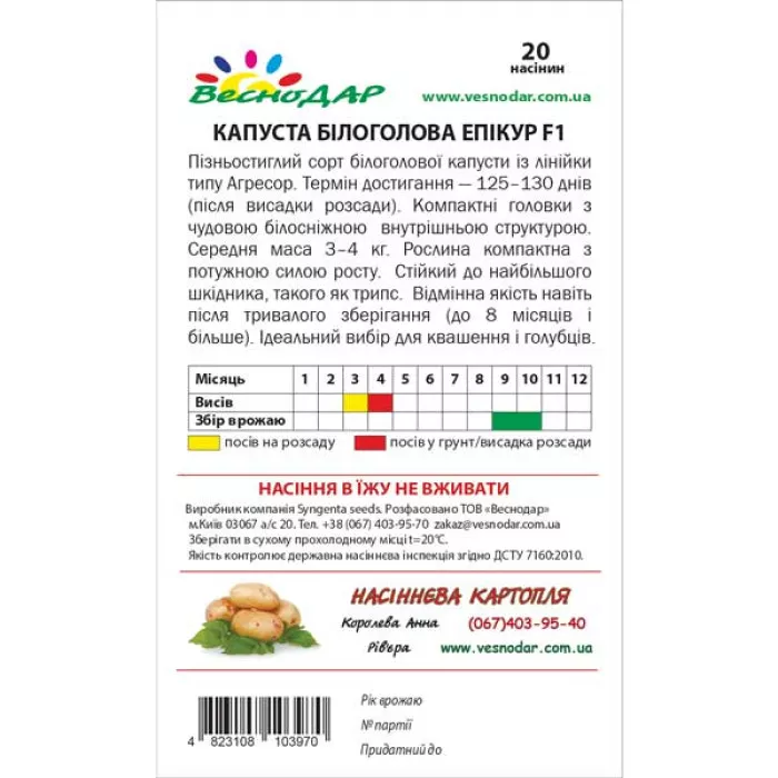 Фото Насіння капусти білоголової Епікур F1, №2