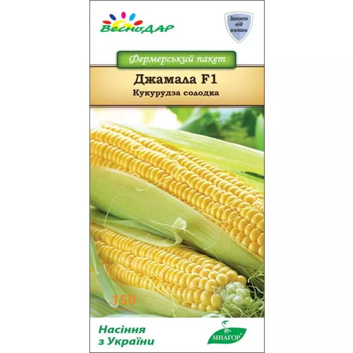 Фото Семена кукурузы Джамала F1, №3