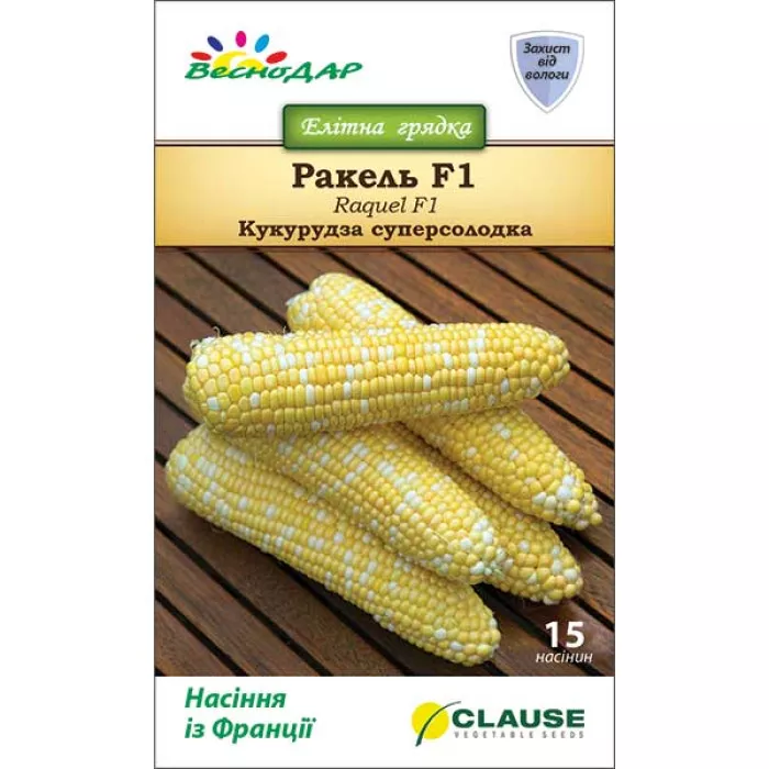 Фото Насіння кукурудзи Ракель F1 (Raquel F1), №2