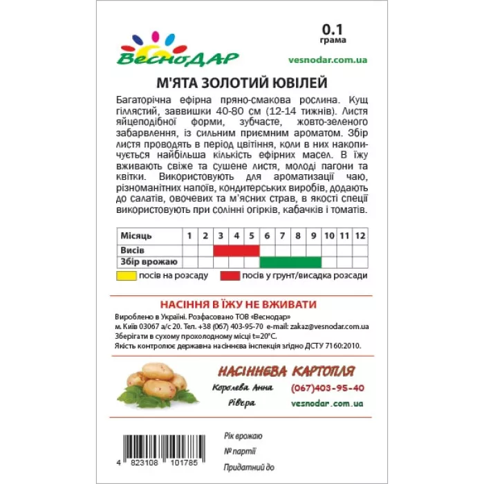 Фото Семена Мяты Золотой Юбилей, №2