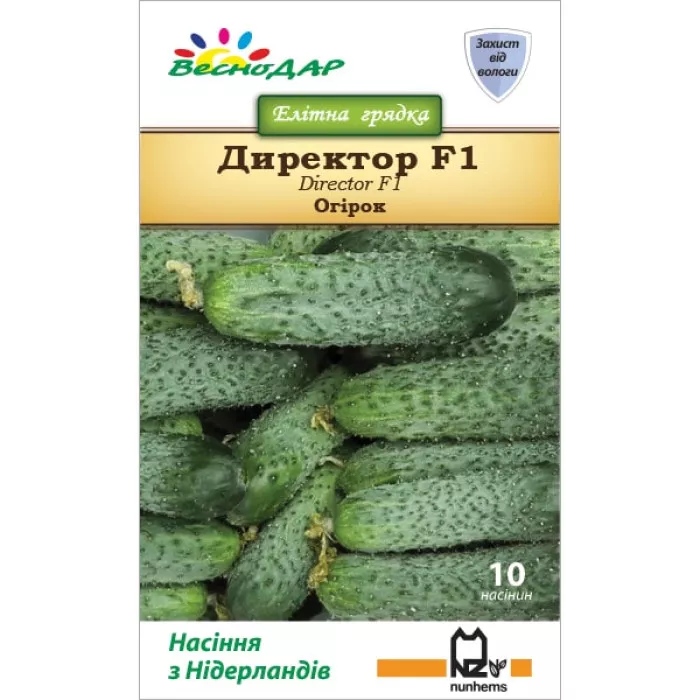 Фото Насіння огірків Директор F1 (Director F1), №3