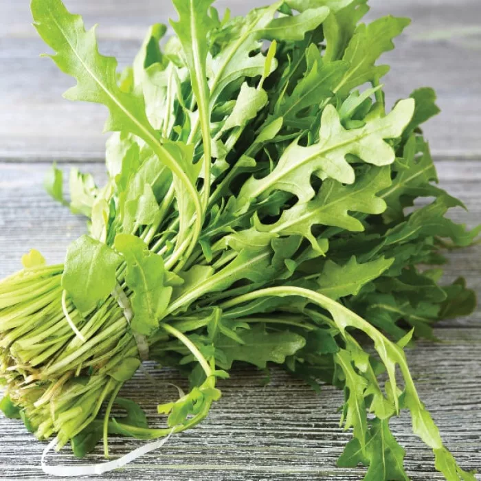 Как вырастить на подоконнике зелень для салата