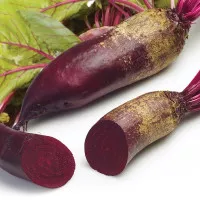 Ломако (Лома)