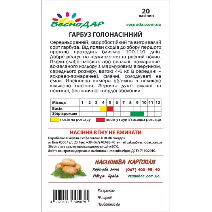 Фото Насіння гарбуза Голонасінний, №2