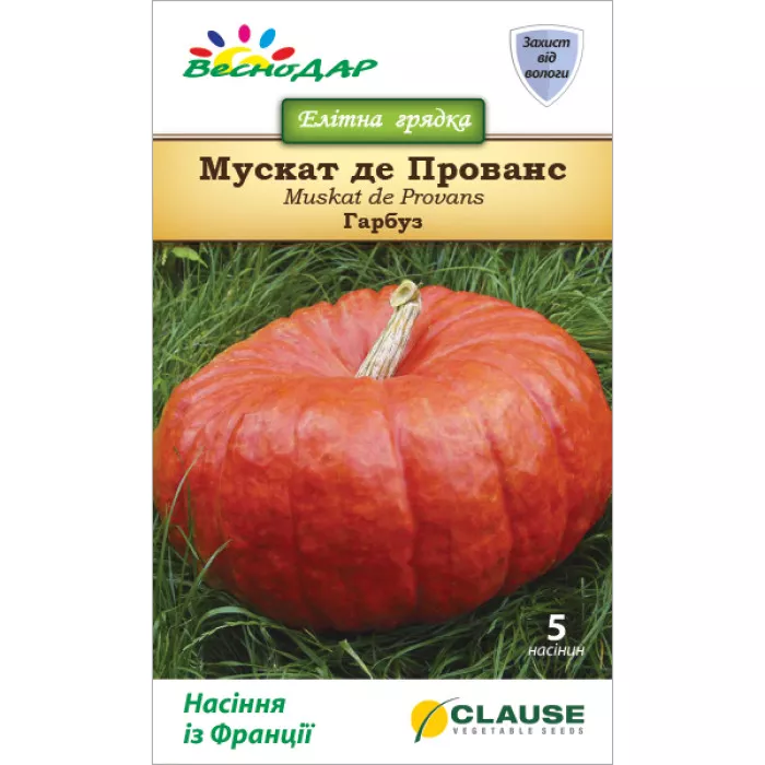 Фото Насіння гарбуза Мускат Де Прованс (Muskat De Provans), №1