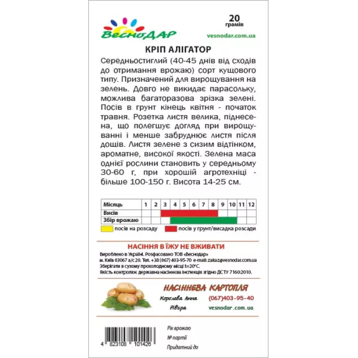 Фото Семена укропа Аллигатор, №4