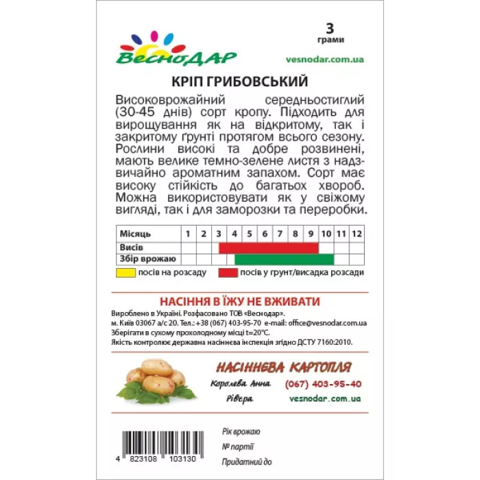 Фото Насіння кропу Грибовський, №2