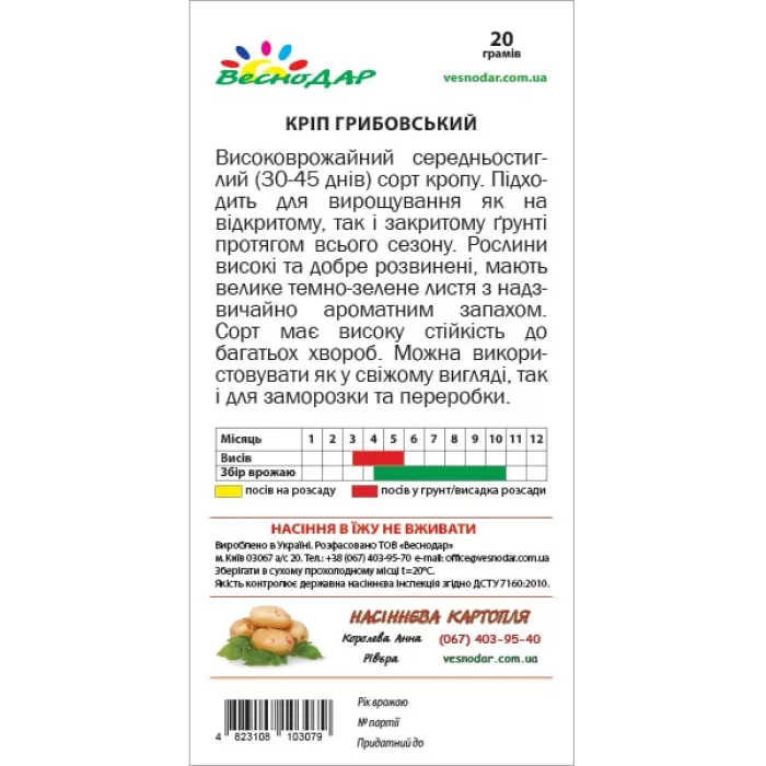 Фото Насіння кропу Грибовський, №4