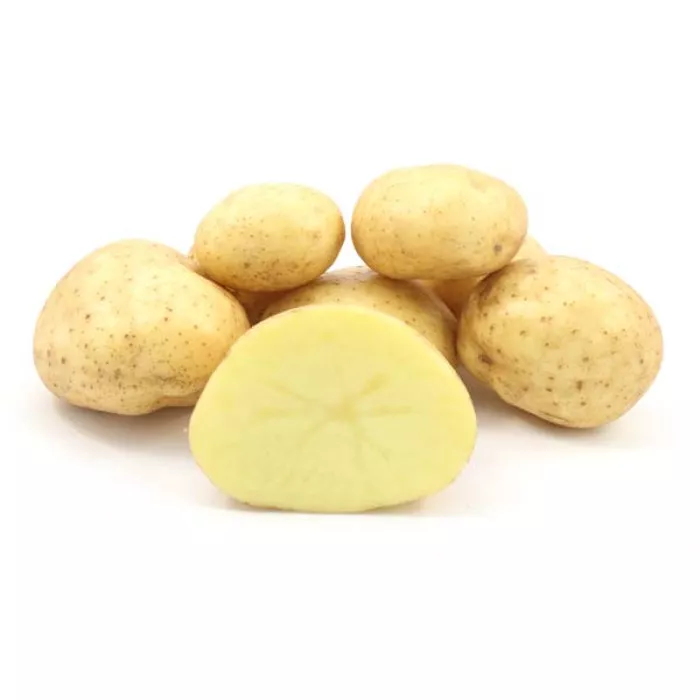 Фото Насіннєва картопля Арізона (1 репродукція), №2