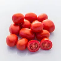 1301 F1 