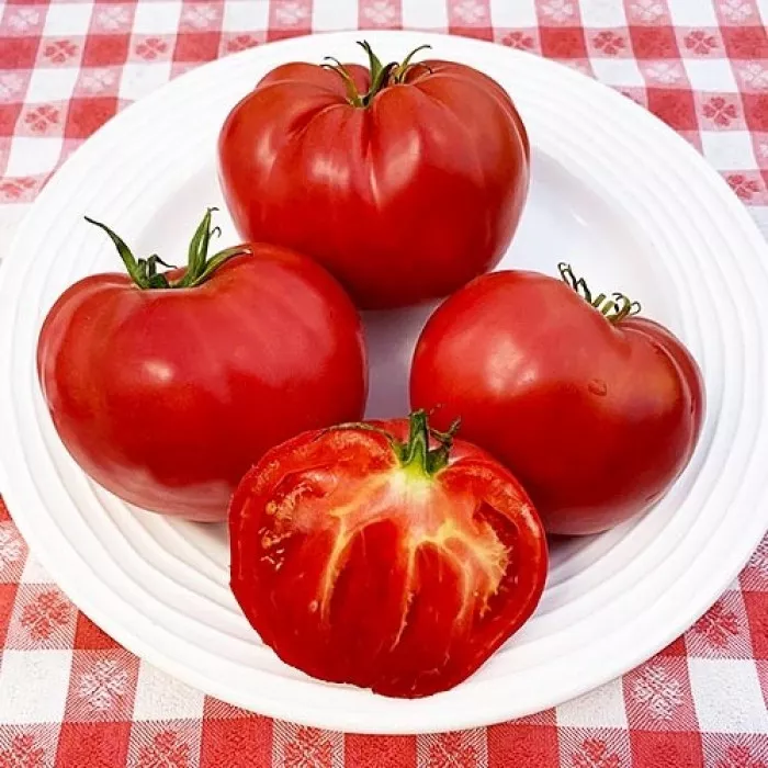 Король Гигантов