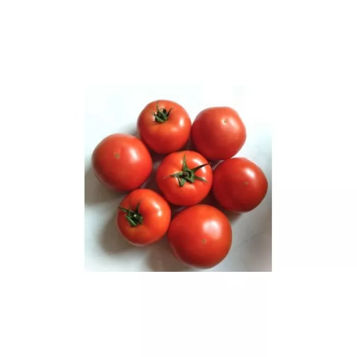 Геликаз F1/Helicaz F1