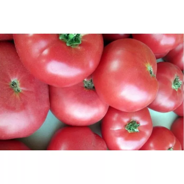 Корніївський Рожевий