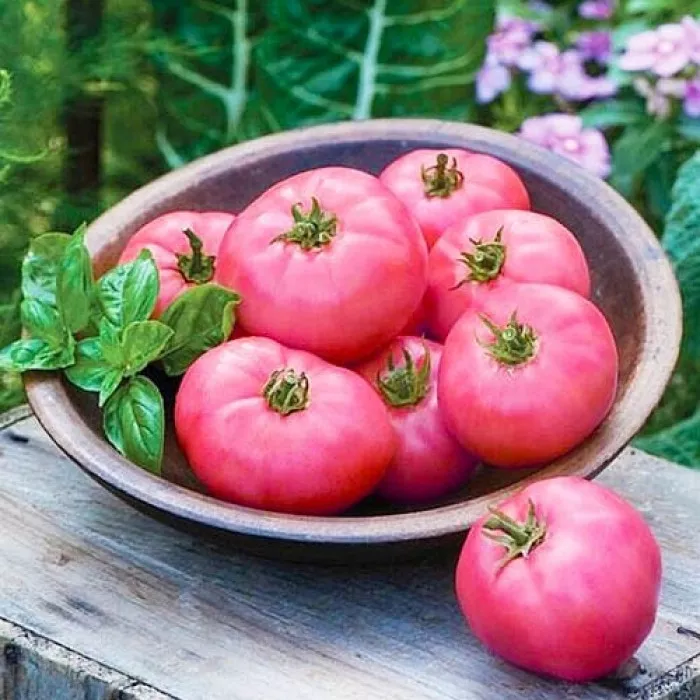 Розовые Щечки