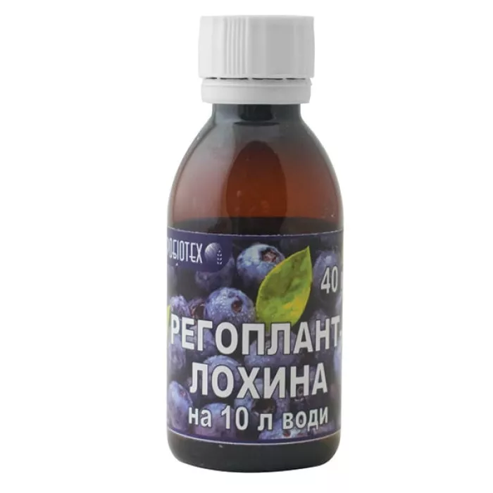 Регоплант Голубика