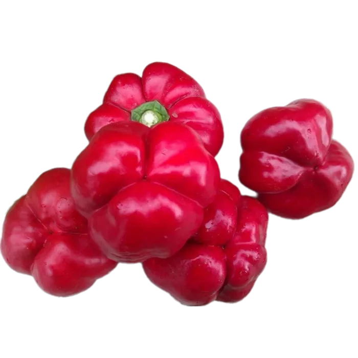 Ратунда Красная